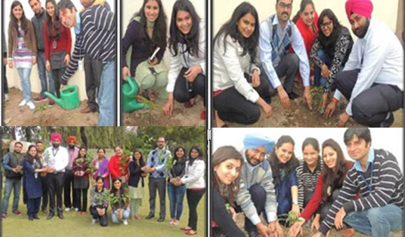 A tree plantation was organised followed by sapling distributions within the campus 