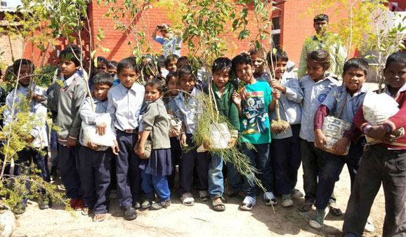 A tree plantation drive was organised and 50 saplings were planted at Government Middle School in Palsora