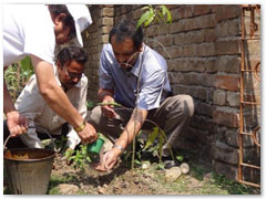 A tree plantation drive was organised at a nearby village