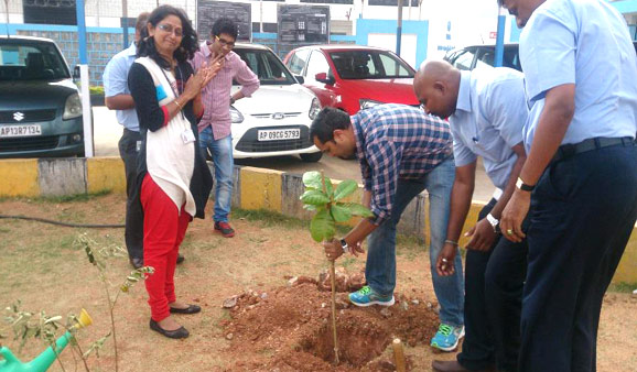Emloyees planted more than 200 Ashoka, Gulmohar and Neem saplings