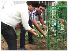 Employees planted 325 saplings planted in MDC Park, Rohini, Delhi